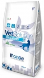 Monge Vet Feline Dermatosi